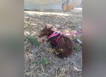 Esperanza, hat so sehr eine Chance verdient