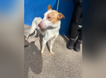 Rayos, hofft auf seine Chance