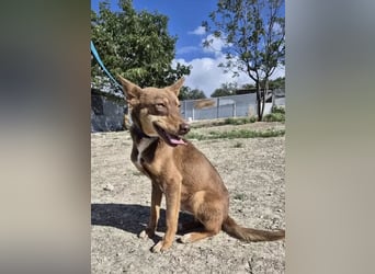 Byron, ein verschmuster sozialer Schatz