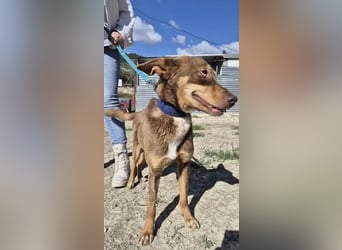 Byron, ein verschmuster sozialer Schatz