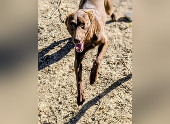 Esperanza, hat so sehr eine Chance verdient