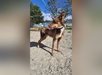 Byron, ein verschmuster sozialer Schatz