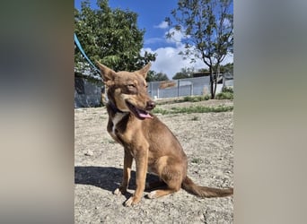 Byron, menschenbezogen und sehr sozial