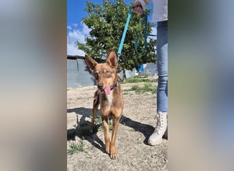 Byron, menschenbezogen und sehr sozial