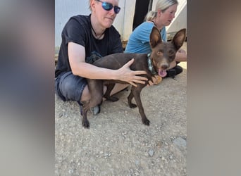 Esperanza, hofft auf ihre große Chance