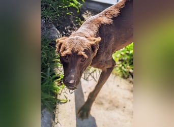 Esperanza, hat so sehr eine Chance verdient