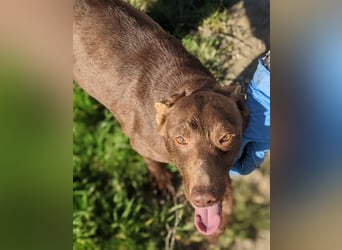 Esperanza, hat so sehr eine Chance verdient