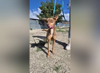 Byron, ein verschmuster sozialer Schatz