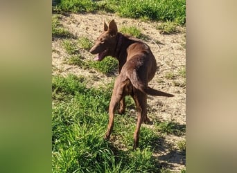 Esperanza, hat so sehr eine Chance verdient