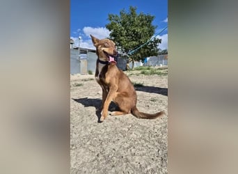 Byron, ein verschmuster sozialer Schatz