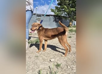 Byron, ein verschmuster sozialer Schatz