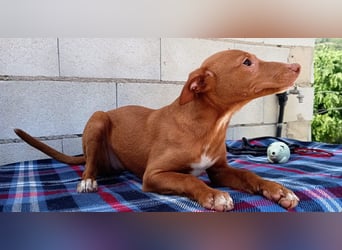 Okal - kleine Entdeckerin auf dem Weg ins Glück