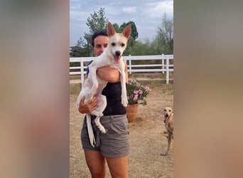 Asana – pure Lebensfreude auf vier Pfoten