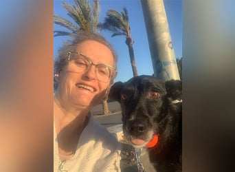 Kiko, Podenco-Mix-Junge sucht Sofa