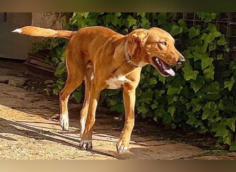 Mojo erobert sofort die Herzen