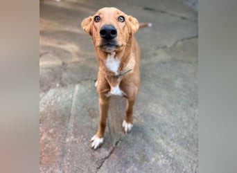 Mojo erobert sofort die Herzen