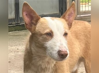 Zik ist neugierig und noch etwas schüchtern