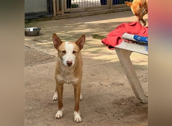 Zik ist neugierig und noch etwas schüchtern