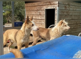 Zik ist neugierig und noch etwas schüchtern