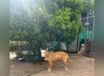 Zik ist neugierig und noch etwas schüchtern