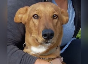 Mojo erobert sofort die Herzen