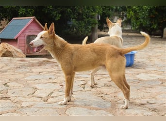 Zik ist neugierig und noch etwas schüchtern