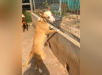 Zik ist neugierig und noch etwas schüchtern