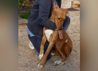 Mojo erobert sofort die Herzen