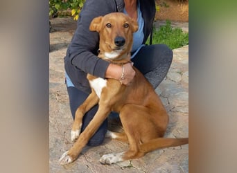 Mojo erobert sofort die Herzen