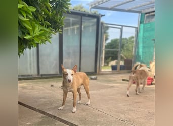 Zik ist neugierig und noch etwas schüchtern