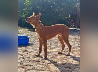 Mojo erobert sofort die Herzen