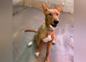 Mojo erobert sofort die Herzen