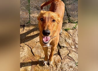 Mojo erobert sofort die Herzen