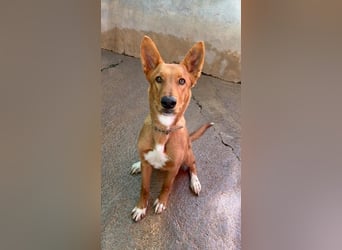 Mojo erobert sofort die Herzen