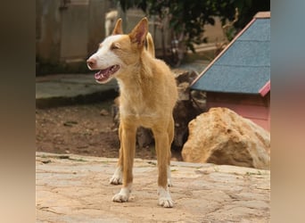 Zik ist neugierig und noch etwas schüchtern