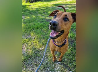 EMINA ist intelligent und lernwillig