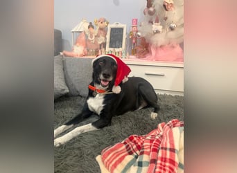 KIKO ist einfach perfekt