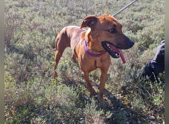 EMINA ist intelligent und lernwillig