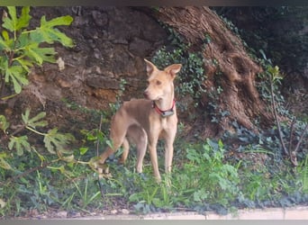 TEYA will gefördert werden