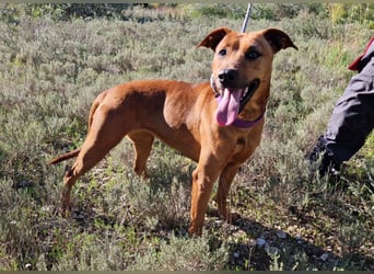 EMINA ist intelligent und lernwillig