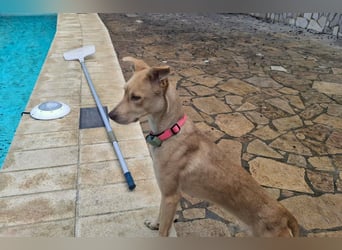 TEYA will gefördert werden