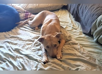 TEYA will gefördert werden