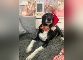 KIKO ist einfach perfekt