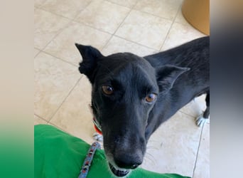 KIKO ist einfach perfekt