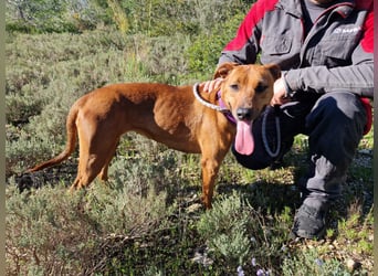 EMINA ist intelligent und lernwillig