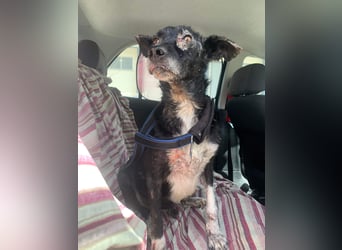 KIKO ist einfach perfekt