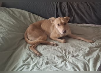 TEYA will gefördert werden