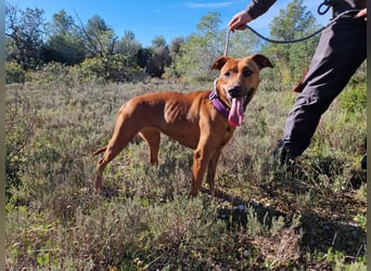 EMINA ist intelligent und lernwillig