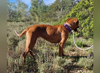 EMINA ist intelligent und lernwillig