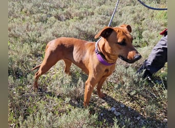 EMINA ist intelligent und lernwillig